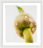 Load image into Gallery viewer, Botanicals Buds - Framed Print
