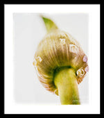 Load image into Gallery viewer, Botanicals Buds - Framed Print
