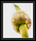 Load image into Gallery viewer, Botanicals Buds - Framed Print
