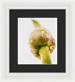 Load image into Gallery viewer, Botanicals Buds - Framed Print
