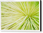 Load image into Gallery viewer, Botanicals Greens 2 - Canvas Print
