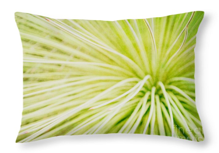 Botanicals Greens 2 - Throw Pillow