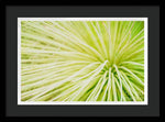 Load image into Gallery viewer, Botanicals Greens 2 - Framed Print
