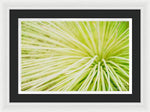 Load image into Gallery viewer, Botanicals Greens 2 - Framed Print
