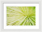 Load image into Gallery viewer, Botanicals Greens 2 - Framed Print
