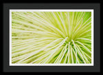 Load image into Gallery viewer, Botanicals Greens 2 - Framed Print
