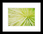 Load image into Gallery viewer, Botanicals Greens 2 - Framed Print
