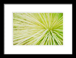 Load image into Gallery viewer, Botanicals Greens 2 - Framed Print
