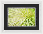 Load image into Gallery viewer, Botanicals Greens 2 - Framed Print
