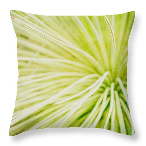 Botanicals Greens 2 - Throw Pillow