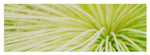 Load image into Gallery viewer, Botanicals Greens 2 - Yoga Mat
