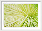 Load image into Gallery viewer, Botanicals Greens 2 - Framed Print
