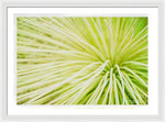 Load image into Gallery viewer, Botanicals Greens 2 - Framed Print
