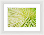 Load image into Gallery viewer, Botanicals Greens 2 - Framed Print
