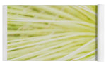 Load image into Gallery viewer, Botanicals Greens 2 - Yoga Mat
