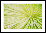 Load image into Gallery viewer, Botanicals Greens 2 - Framed Print

