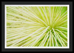 Load image into Gallery viewer, Botanicals Greens 2 - Framed Print

