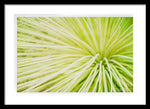 Load image into Gallery viewer, Botanicals Greens 2 - Framed Print
