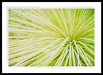 Load image into Gallery viewer, Botanicals Greens 2 - Framed Print
