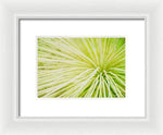 Load image into Gallery viewer, Botanicals Greens 2 - Framed Print

