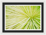 Load image into Gallery viewer, Botanicals Greens 2 - Framed Print

