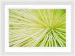 Load image into Gallery viewer, Botanicals Greens 2 - Framed Print
