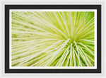 Load image into Gallery viewer, Botanicals Greens 2 - Framed Print

