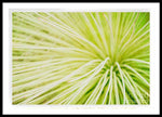 Load image into Gallery viewer, Botanicals Greens 2 - Framed Print
