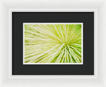 Load image into Gallery viewer, Botanicals Greens 2 - Framed Print
