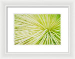 Load image into Gallery viewer, Botanicals Greens 2 - Framed Print
