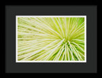 Load image into Gallery viewer, Botanicals Greens 2 - Framed Print
