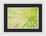 Load image into Gallery viewer, Botanicals Greens 2 - Framed Print
