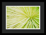 Load image into Gallery viewer, Botanicals Greens 2 - Framed Print
