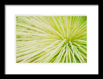 Load image into Gallery viewer, Botanicals Greens 2 - Framed Print
