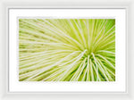 Load image into Gallery viewer, Botanicals Greens 2 - Framed Print

