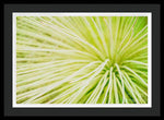 Load image into Gallery viewer, Botanicals Greens 2 - Framed Print
