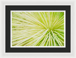 Load image into Gallery viewer, Botanicals Greens 2 - Framed Print
