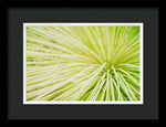 Load image into Gallery viewer, Botanicals Greens 2 - Framed Print
