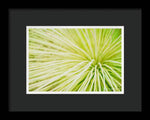 Load image into Gallery viewer, Botanicals Greens 2 - Framed Print
