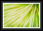 Load image into Gallery viewer, Botanicals Greens 3 - Framed Print
