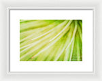 Load image into Gallery viewer, Botanicals Greens 3 - Framed Print
