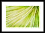 Load image into Gallery viewer, Botanicals Greens 3 - Framed Print
