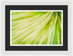 Load image into Gallery viewer, Botanicals Greens 3 - Framed Print
