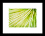 Load image into Gallery viewer, Botanicals Greens 3 - Framed Print
