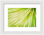 Load image into Gallery viewer, Botanicals Greens 3 - Framed Print
