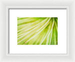 Load image into Gallery viewer, Botanicals Greens 3 - Framed Print
