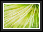 Load image into Gallery viewer, Botanicals Greens 3 - Framed Print
