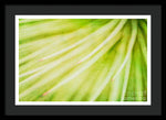 Load image into Gallery viewer, Botanicals Greens 3 - Framed Print
