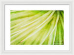 Load image into Gallery viewer, Botanicals Greens 3 - Framed Print
