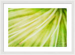 Load image into Gallery viewer, Botanicals Greens 3 - Framed Print
